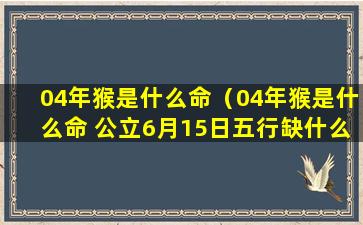 04年猴是什么命（04年猴是什么命 公立6月15日五行缺什么）